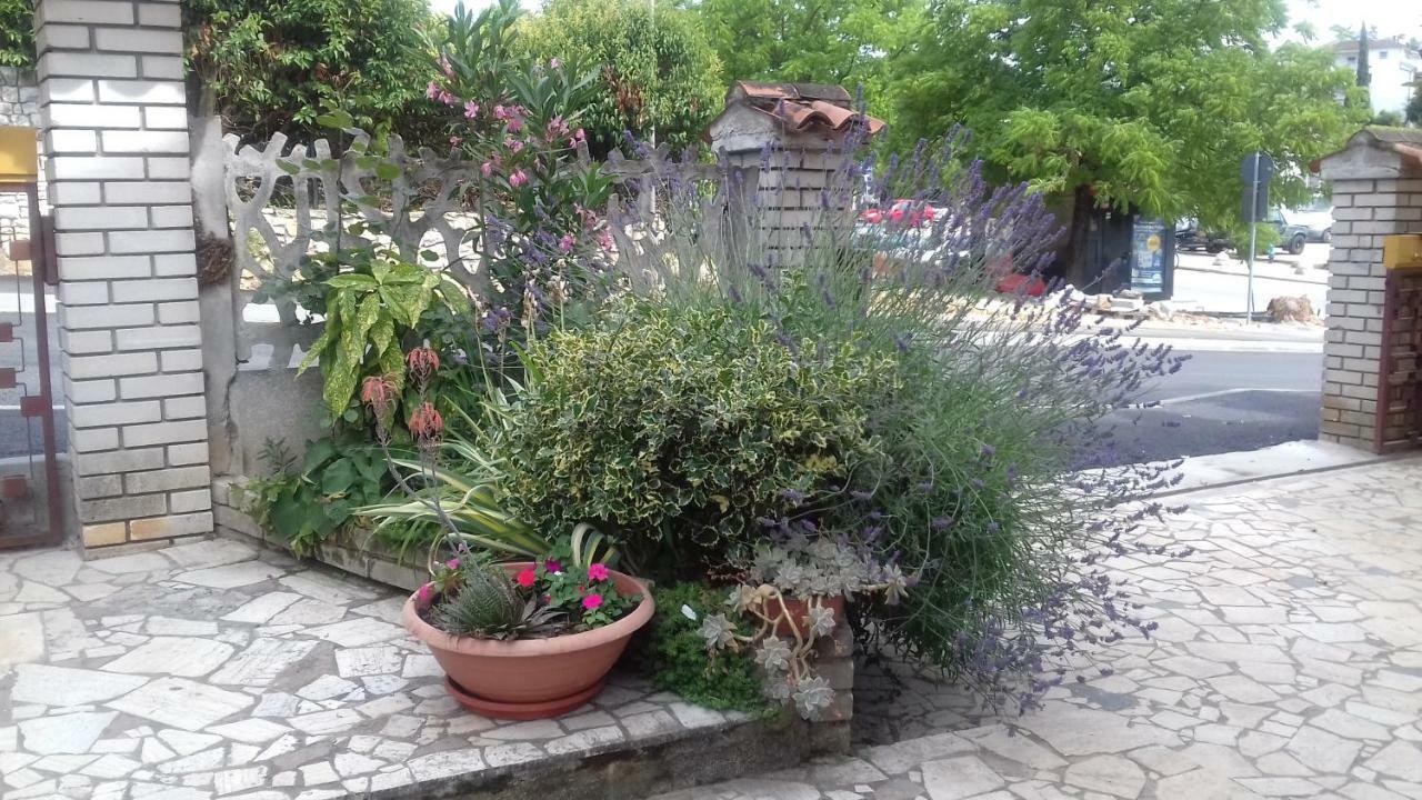 Apartment Lili Porec Exterior photo